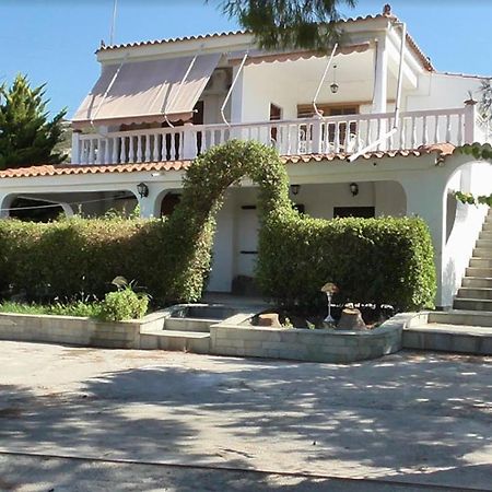 Maison d'hôtes Το Κτήμα Της Ελιάς Του Τάκη à Paralia Demonias Extérieur photo