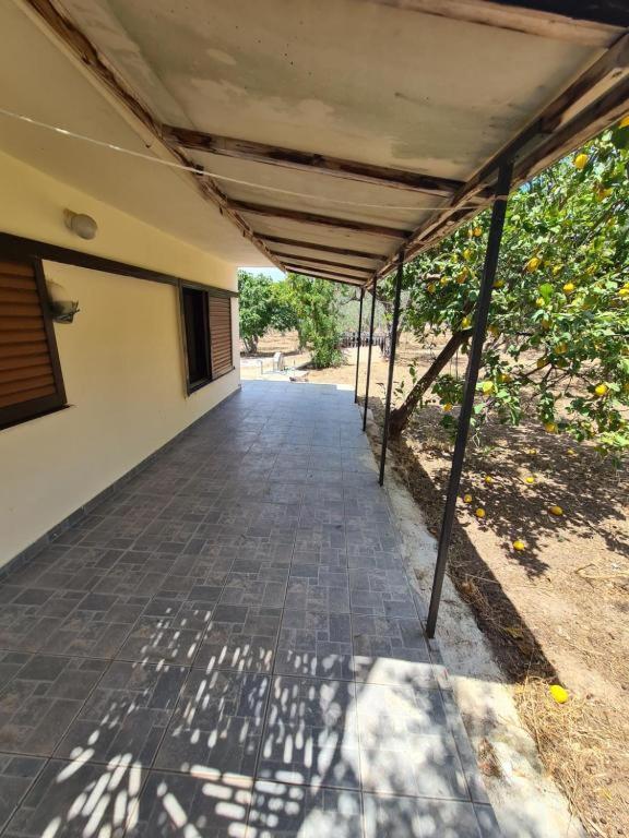 Maison d'hôtes Το Κτήμα Της Ελιάς Του Τάκη à Paralia Demonias Extérieur photo