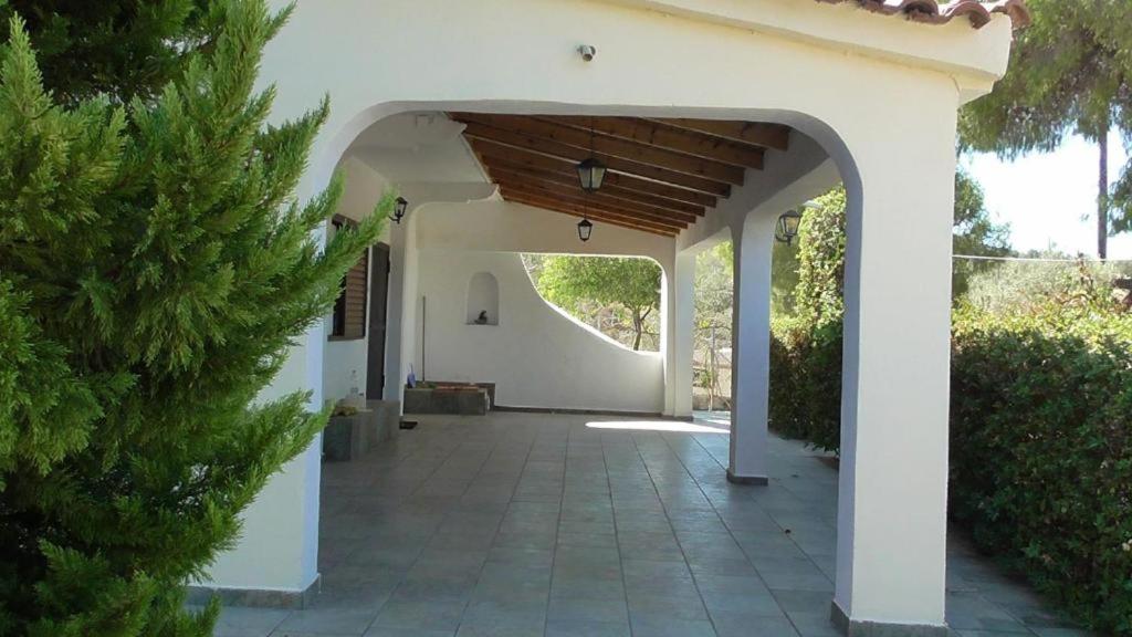 Maison d'hôtes Το Κτήμα Της Ελιάς Του Τάκη à Paralia Demonias Extérieur photo