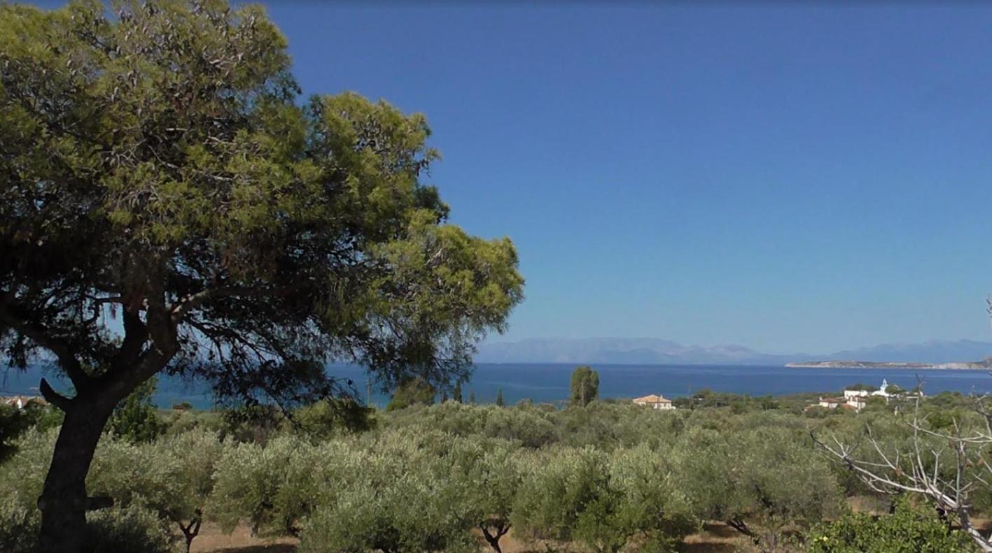 Maison d'hôtes Το Κτήμα Της Ελιάς Του Τάκη à Paralia Demonias Extérieur photo