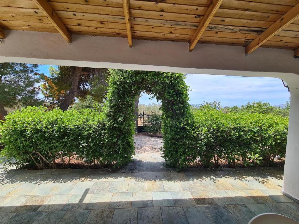 Maison d'hôtes Το Κτήμα Της Ελιάς Του Τάκη à Paralia Demonias Extérieur photo